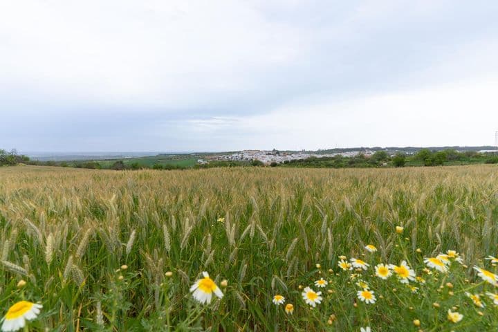 2 bedrooms house for sale in Bonares, Spain - Image 10