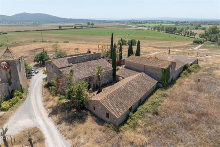 Other for sale in LEscala, Spain - Image 11