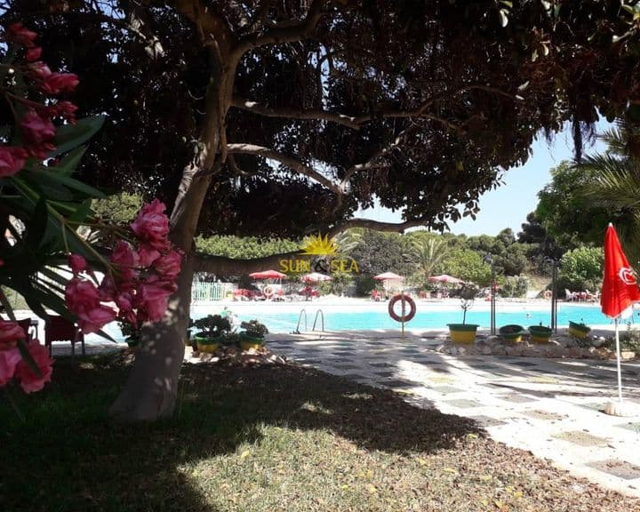 1 bedroom apartment for rent in Guardamar del Segura, Spain - Image 2