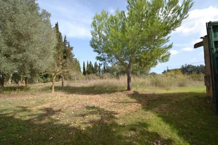 1 bedroom house for sale in Mallorca, Spain - Image 3