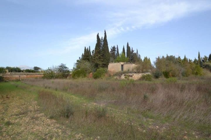 1 bedroom house for sale in Mallorca, Spain - Image 9