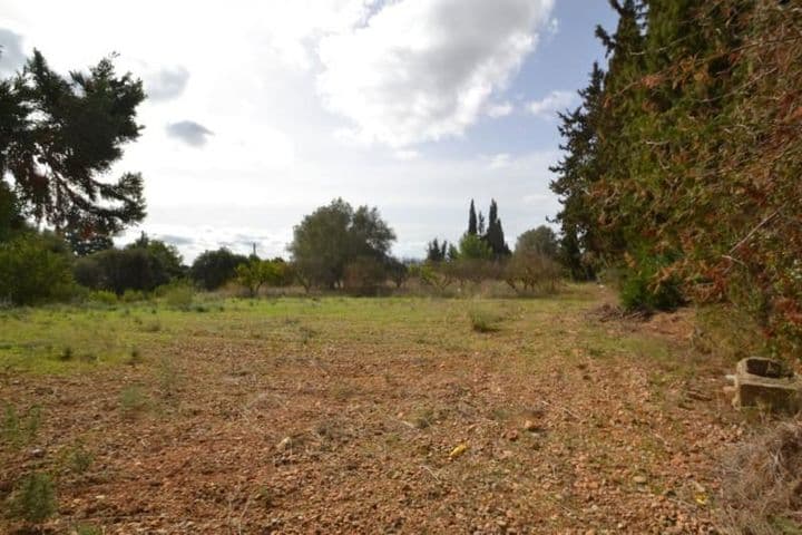 1 bedroom house for sale in Mallorca, Spain - Image 10