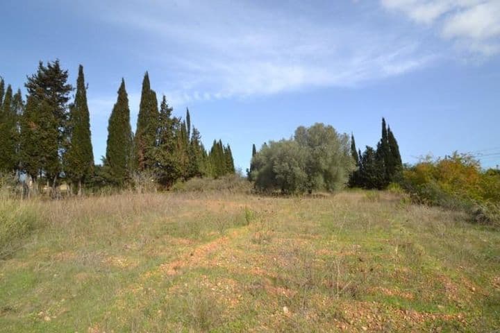 1 bedroom house for sale in Mallorca, Spain - Image 5