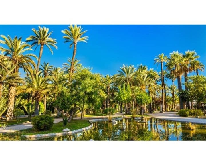 3 bedrooms apartment for sale in Elche, Spain - Image 7