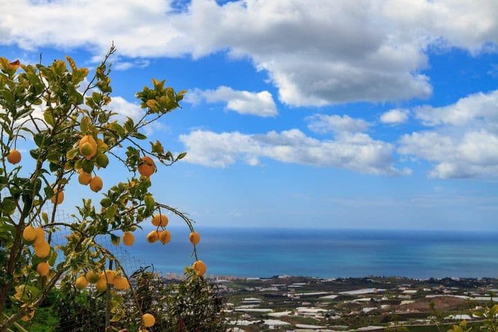 5 bedrooms house for sale in Algarrobo, Spain - Image 3