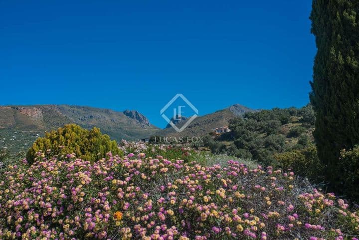 6 bedrooms house for sale in La Axarquia, Spain - Image 8