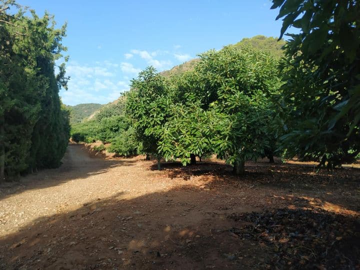 House for sale in Coin, Spain - Image 4