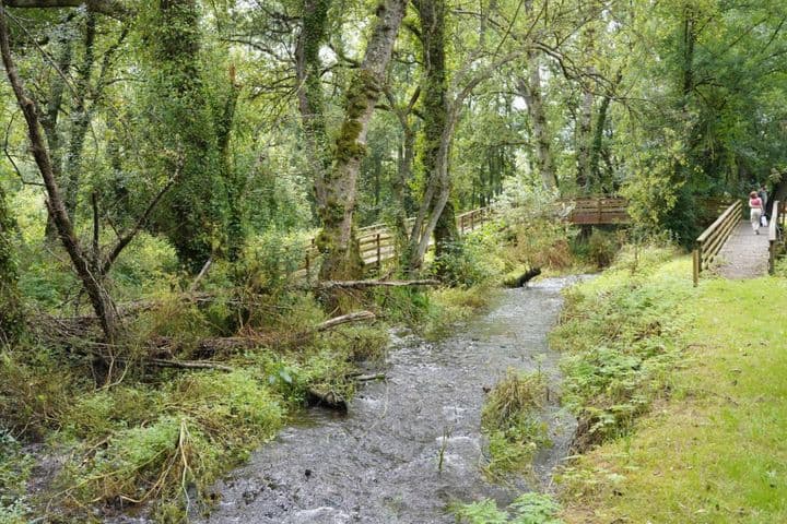 House for sale in Lugo, Spain - Image 9