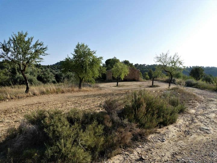 House for sale in Maella, Spain - Image 2