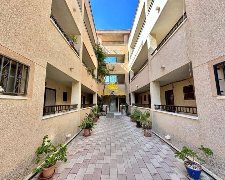 1 bedroom apartment for rent in La Siesta - El Salado - Torreta, Spain - Image 8