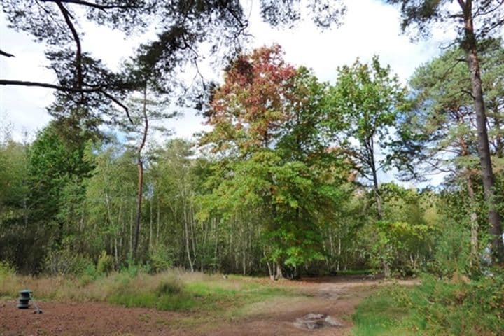 5 bedrooms house for sale in Lamotte-Beuvron, France - Image 5