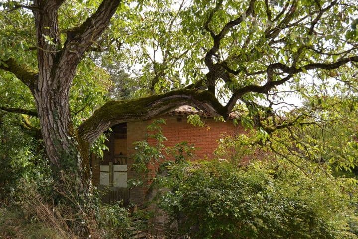 House for sale in PRESERVILLE, France - Image 11