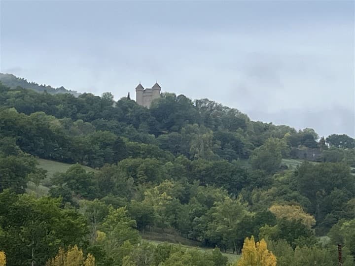 8 bedrooms house for sale in Aveyron (12), France - Image 35