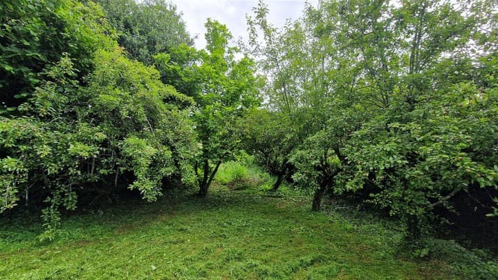 Other for sale in Cantal (15), France - Image 16