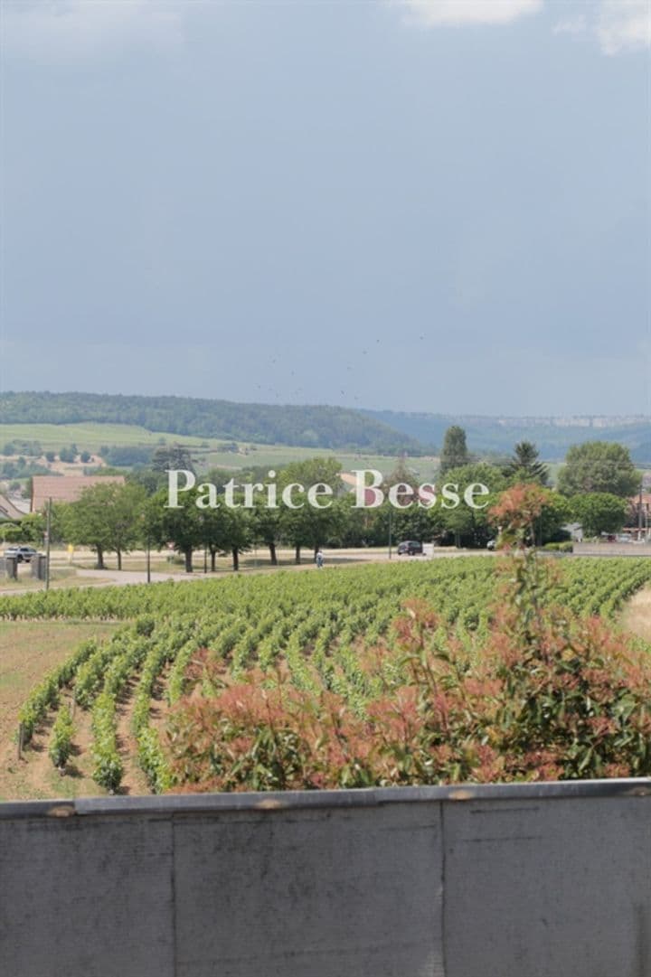 9 bedrooms other for sale in Beaune, France - Image 10