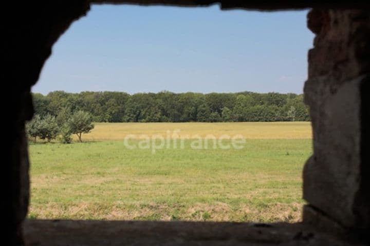 Other for sale in Serrigny-en-Bresse, France - Image 9