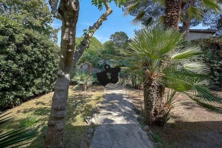 4 bedrooms house for sale in Alpes-Maritimes (06), France - Image 16