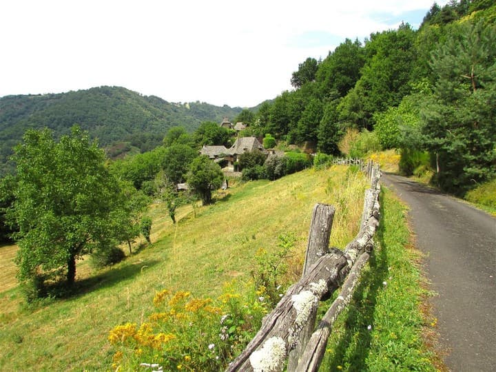 4 bedrooms house for sale in Cantal (15), France - Image 23