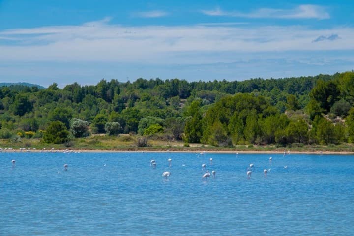 4 bedrooms house for sale in Aude (11), France - Image 9