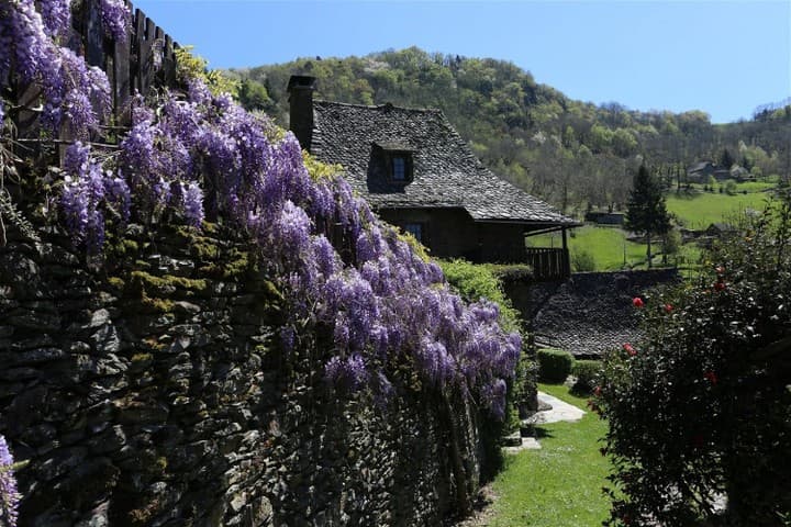 4 bedrooms house for sale in Cantal (15), France - Image 26