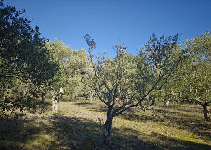 Other for sale in limoux, France - Image 3