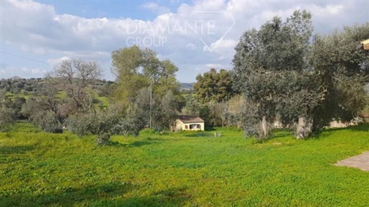 9 bedrooms other for sale in Magliano in Toscana, Italy - Image 11