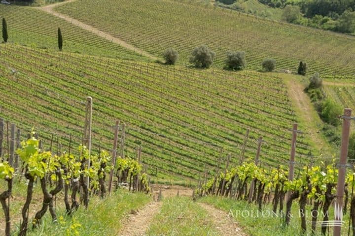 Other for sale in Gaiole in Chianti, Italy - Image 12