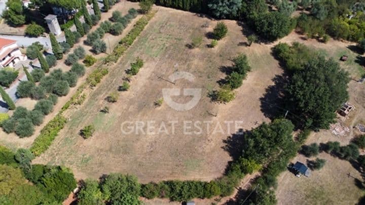 10 bedrooms house for sale in Castiglione del Lago, Italy - Image 2