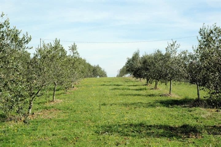 House for sale in Grosseto, Italy - Image 9