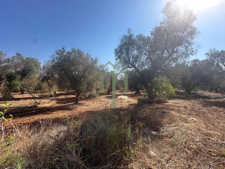 Other for sale in Ostuni, Italy - Image 12