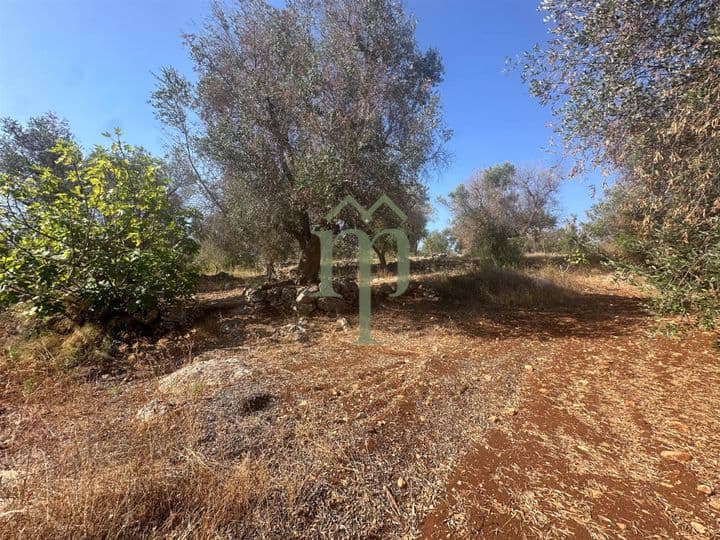 Other for sale in Ostuni, Italy - Image 9