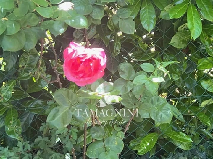 House for sale in Sarteano, Italy - Image 10