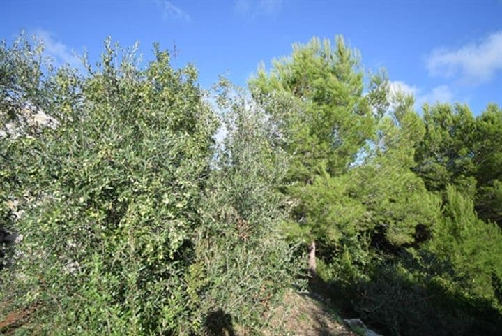 Other for sale in Cervo, Italy - Image 3