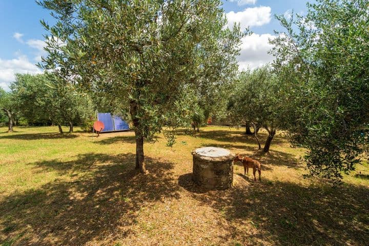 3 bedrooms house for sale in Monte San Savino, Italy - Image 9