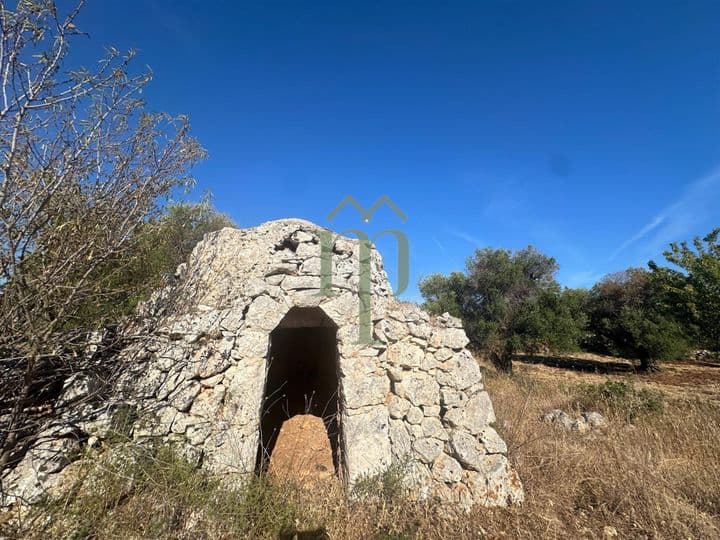 Other for sale in San Vito dei Normanni, Italy - Image 10