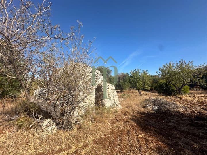 Other for sale in San Vito dei Normanni, Italy - Image 9