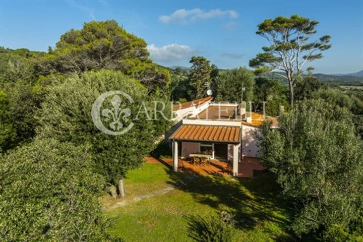 4 bedrooms house for sale in Orbetello, Italy - Image 7