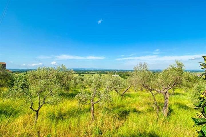 4 bedrooms house for sale in Cortona, Italy - Image 9