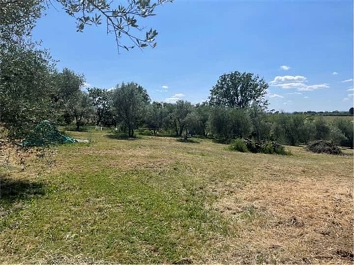 House for sale in Marciano della Chiana, Italy - Image 3