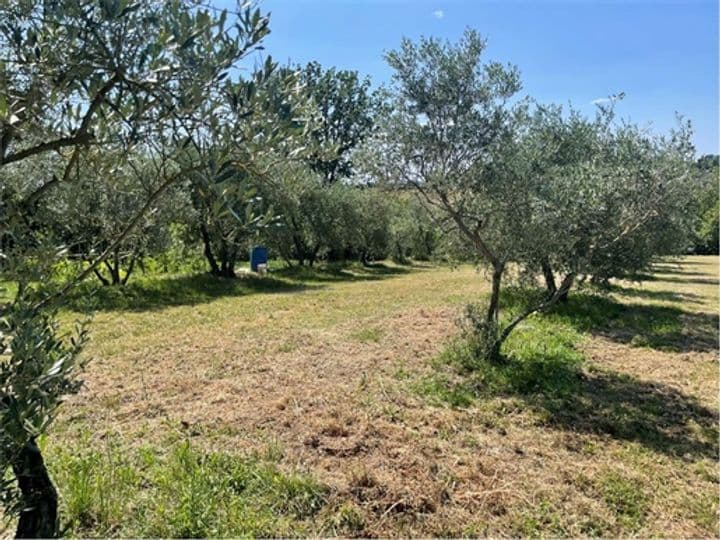 House for sale in Marciano della Chiana, Italy - Image 7