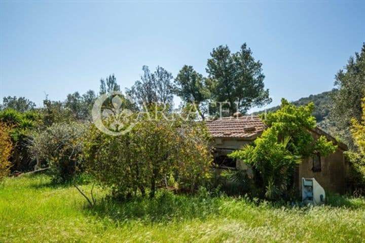 3 bedrooms house for sale in Orbetello, Italy - Image 12