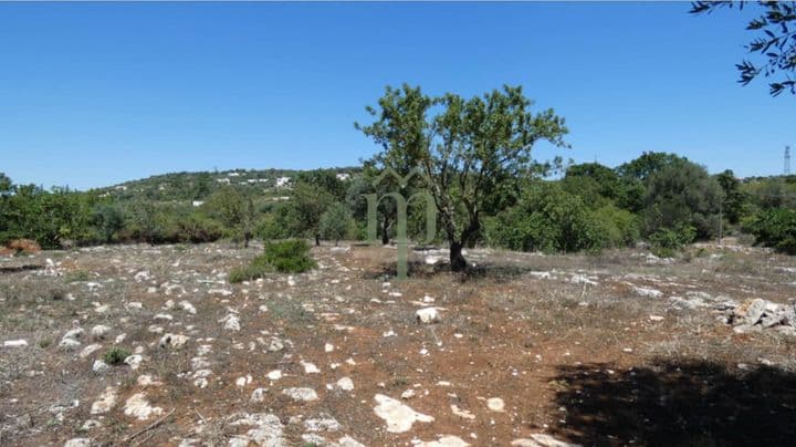 3 bedrooms house for sale in Ostuni, Italy - Image 2