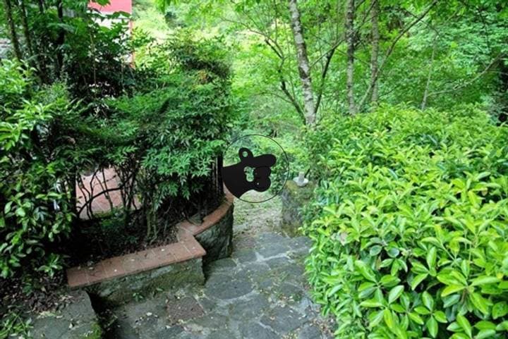 House for sale in Buggiano, Italy - Image 3