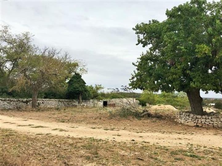 13 bedrooms house for sale in Alberobello, Italy - Image 6