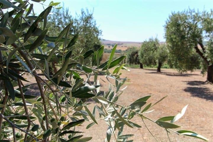 Other for sale in Castellina Marittima, Italy - Image 8