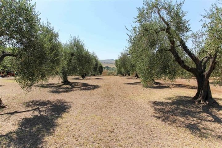 Other for sale in Castellina Marittima, Italy - Image 5