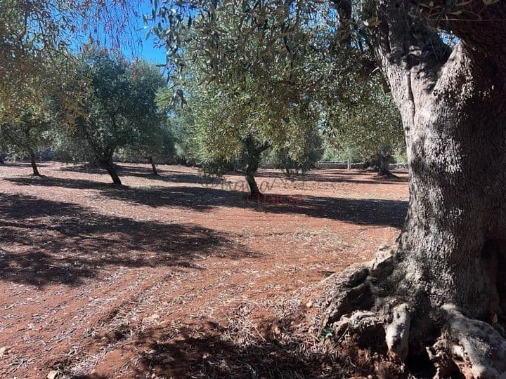 Other for sale in Ostuni, Italy - Image 2