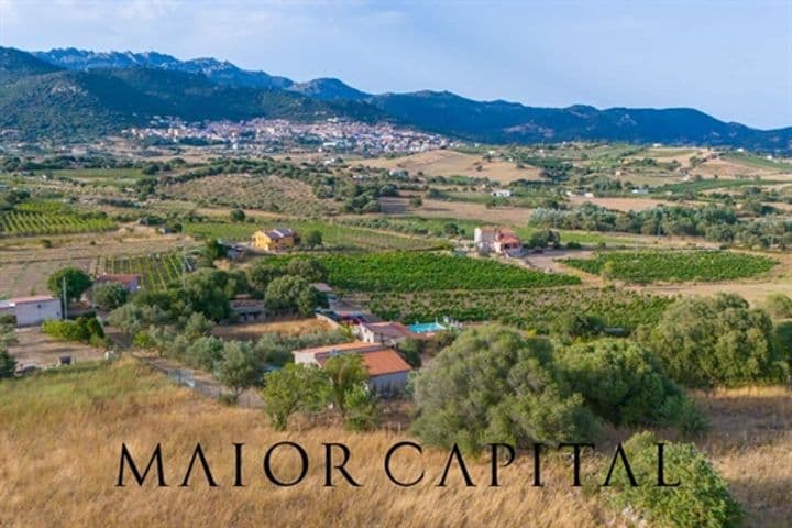 House for sale in Berchidda, Italy - Image 10