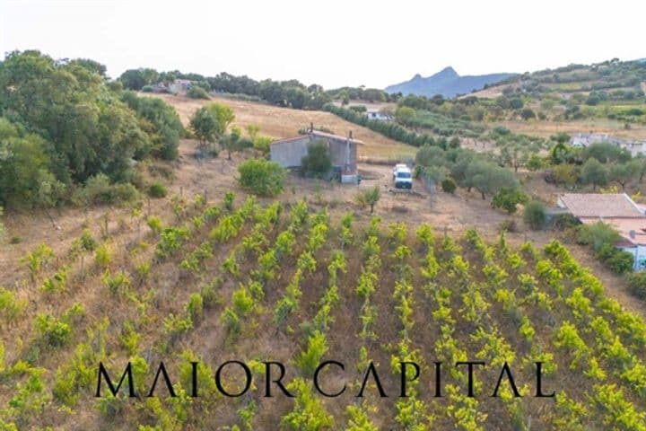 House for sale in Berchidda, Italy - Image 6