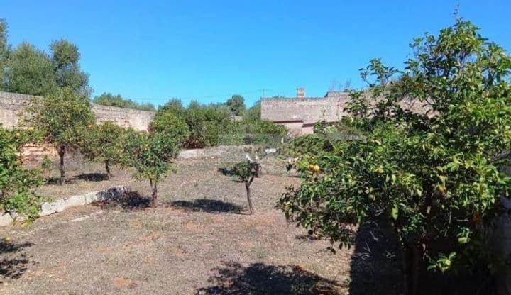 Building for sale in Ostuni, Italy - Image 5